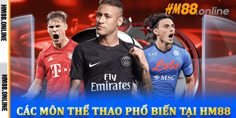 Các môn thể thao phổ biến tại HM88